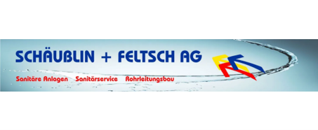 Schäublin Feltsch
